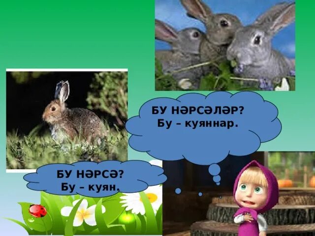 Новогодние стихи на башкирском языке. Куян фото. Ак куян. Песня куян. Стихотворение мусы джалиля куян на татарском.