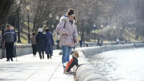 20 июня в москве ожидается