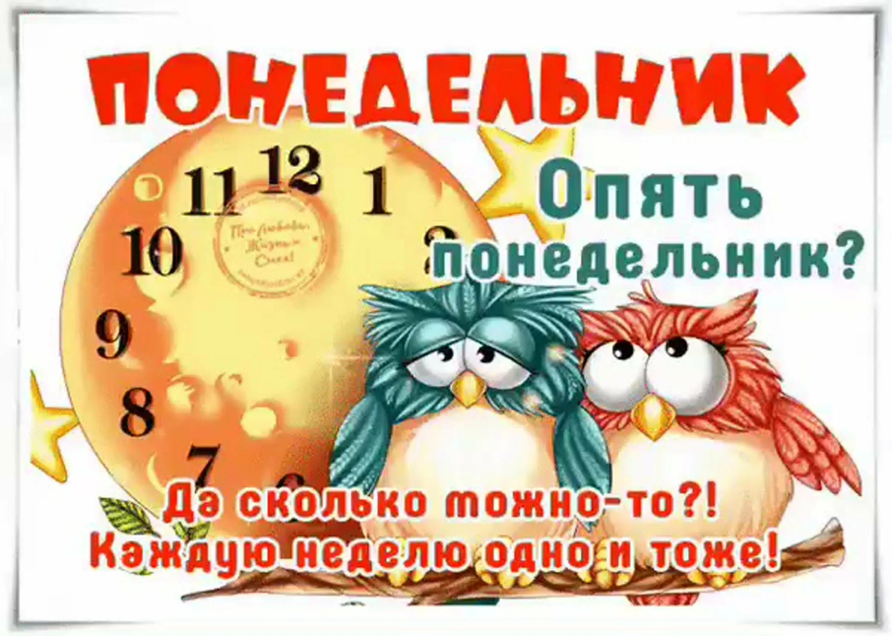 Открытки с понедельником. Открытки с понедельником прикольные. Открытки с добрым понедельником. Поздравление с понедельником прикольные. 5 июня день недели