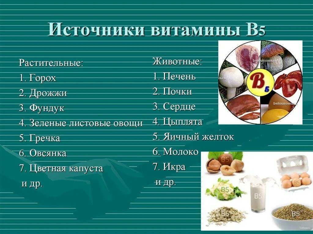 Витамин в 8 в продуктах. Витамины группы б5. Источники витамина в1 в продуктах питания таблица. Витамины в1 в2 в6 в12 таблица. Витамин в 1 , 5,6.