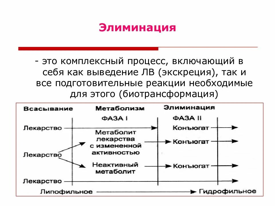 Элиминация и экскреция лекарственных средств. Липофильность и гидрофильность лекарственных веществ. Элиминация фармакология. Константа элиминации формула. Элиминация фармакология.