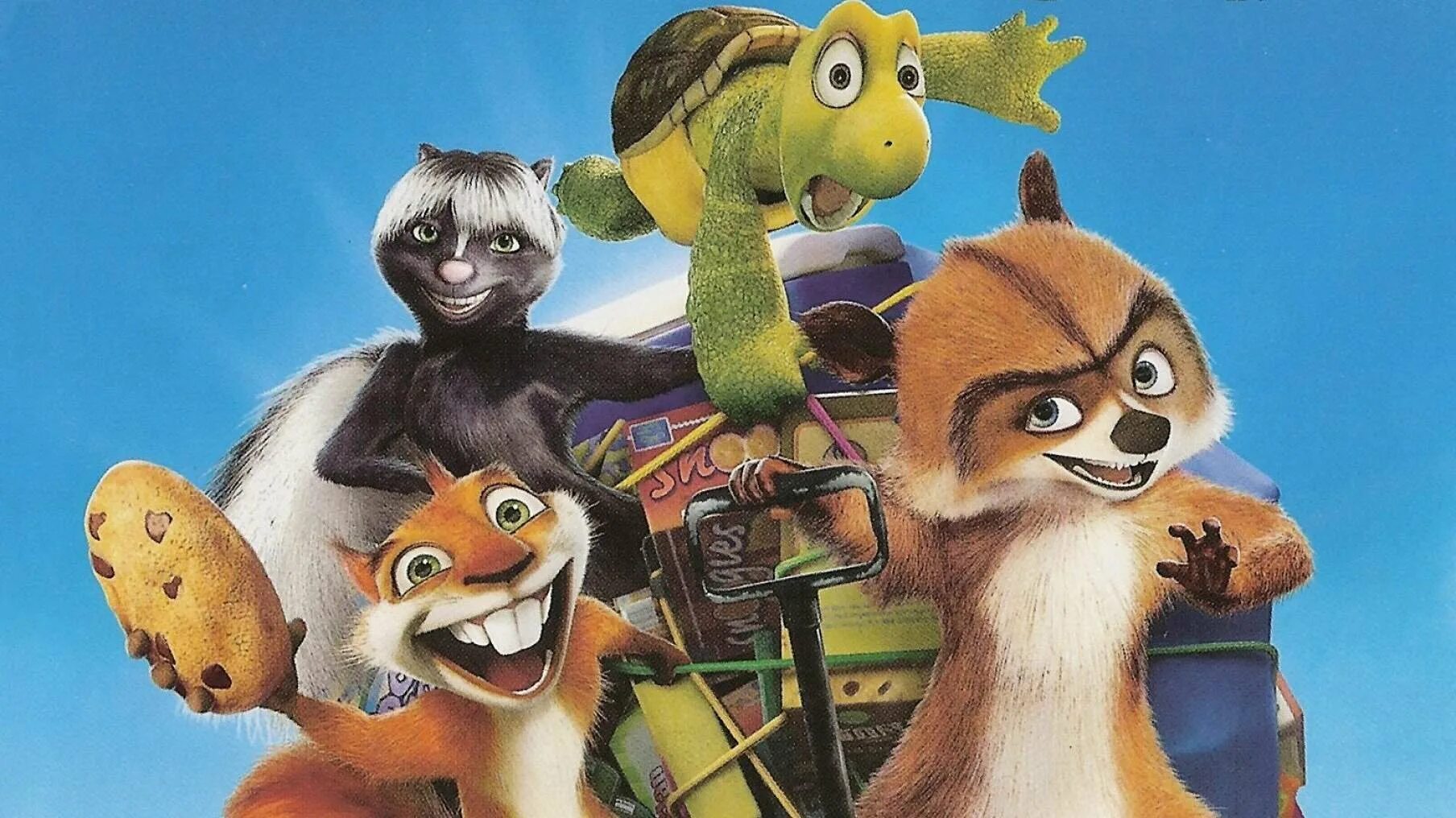 Черепаха белка. Черепаха белка