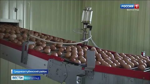 Волгоградская птицефабрика