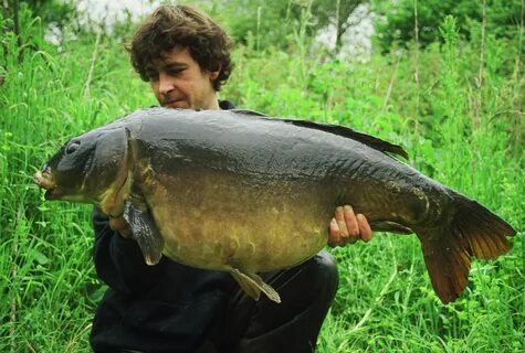 Just fish