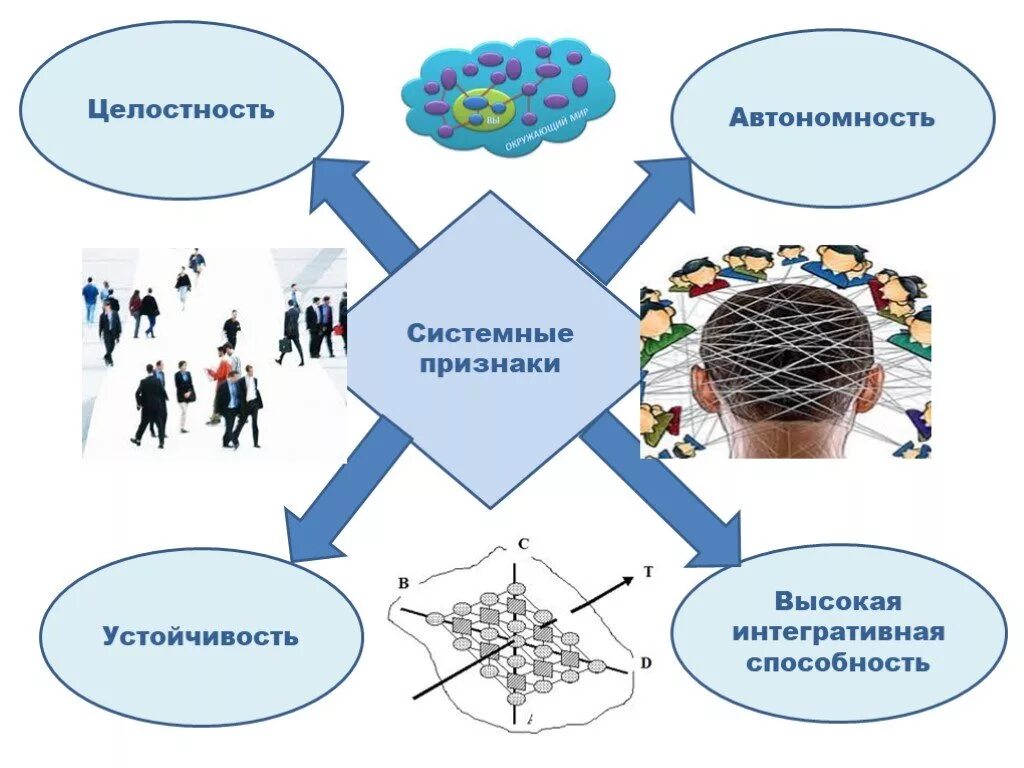 Учебная автономия. Связи с общественностью. Общественность в схемах. Связи с общественностью в органах власти. Целостность управленческой деятельности схема.