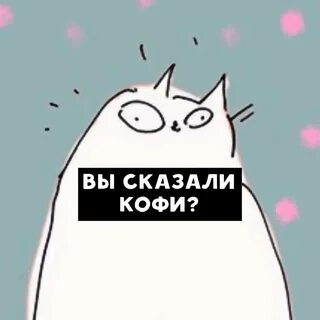 Кофи кот