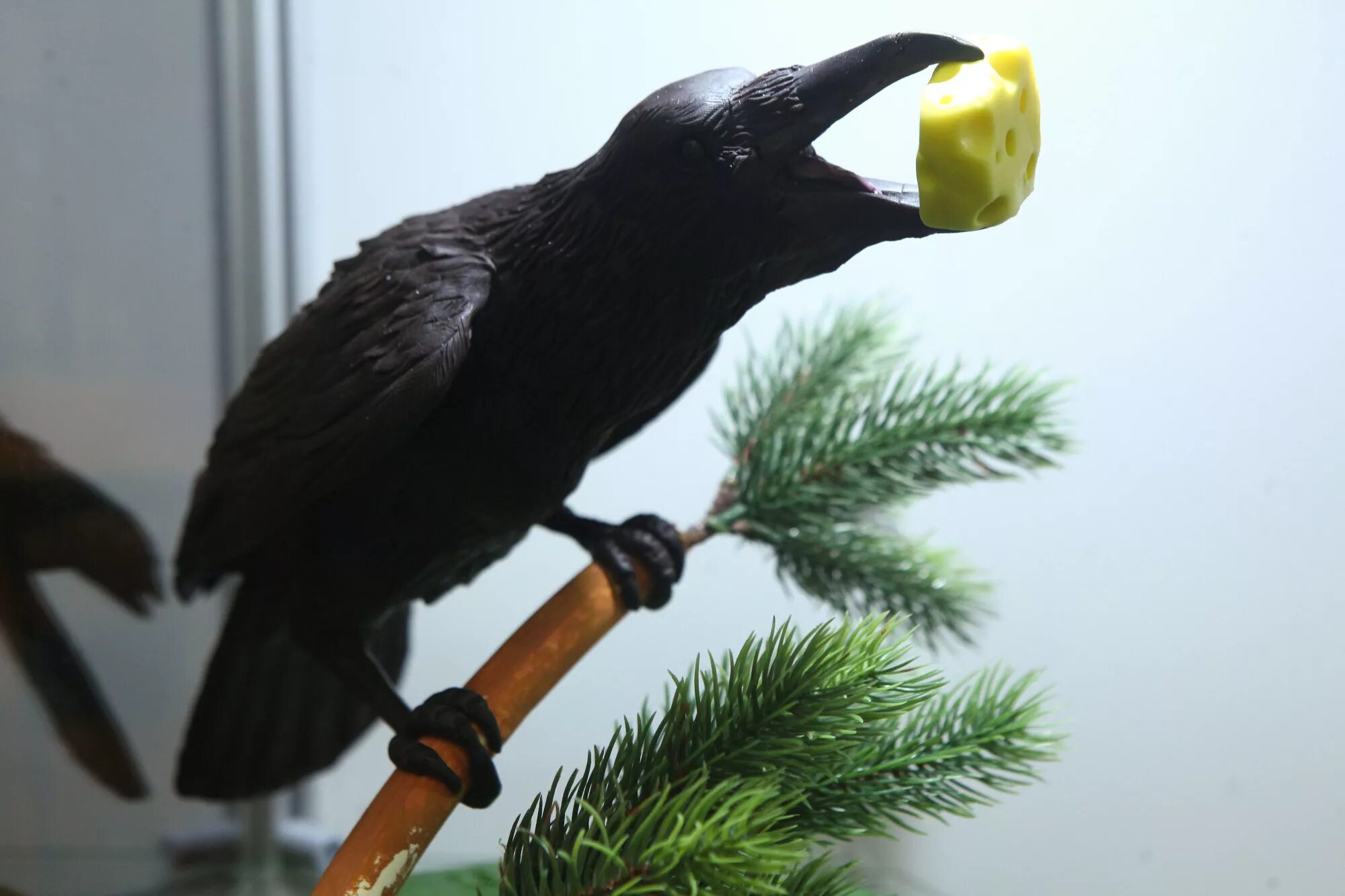 Ворон ест. Ворон с едой в клюве. Ворона и сыр. Ворона с сыром во рту. Ворон с хлебом.