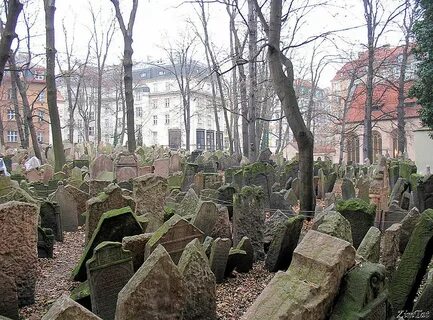 Еврейское кладбище в праге старое