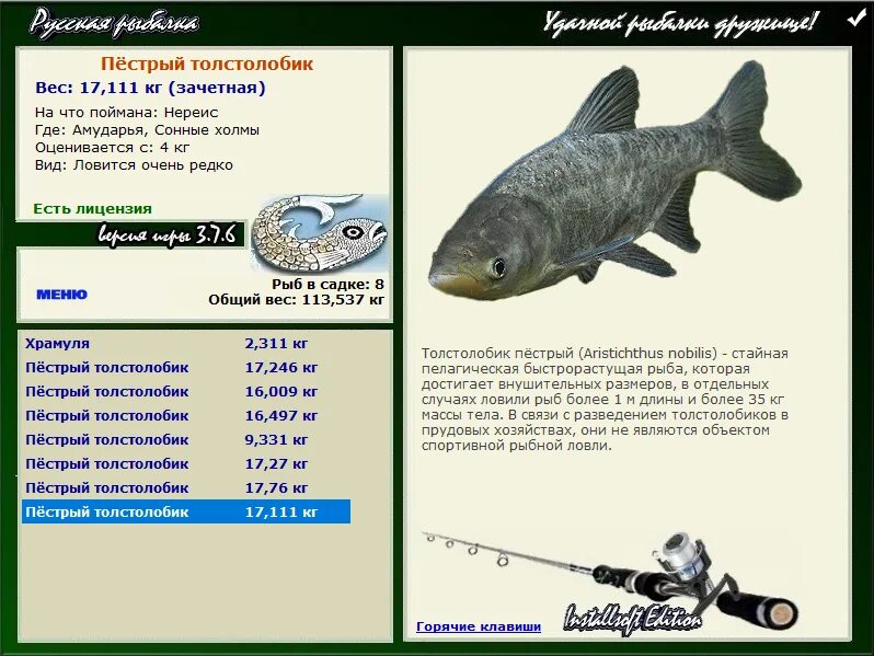 толстолобик пестрый реальная рыбалка. толстолобик пестрый рыба. русская рыбалка толстолобик. толстолобик пёстрый лесное озеро в реальной рыбалке. белый амур русская рыбалка 3.