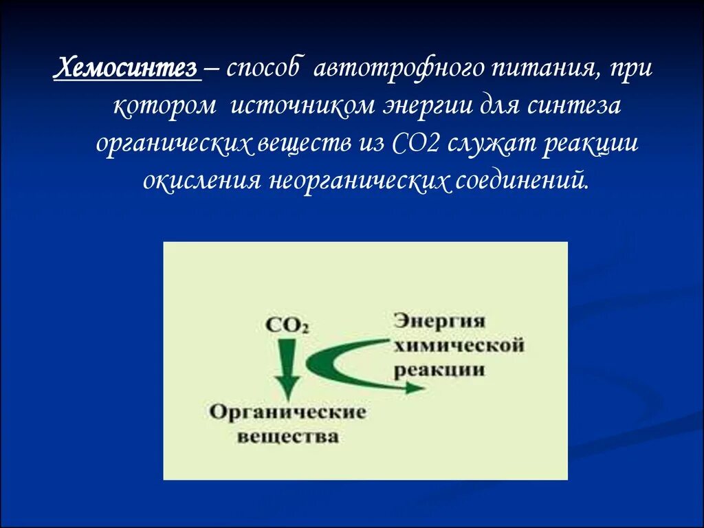Хемосинтетики это