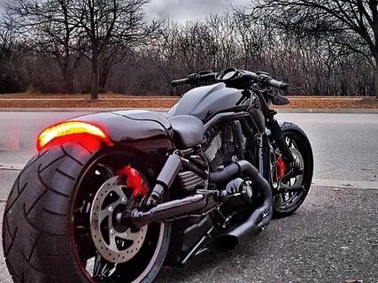Harley davidson v