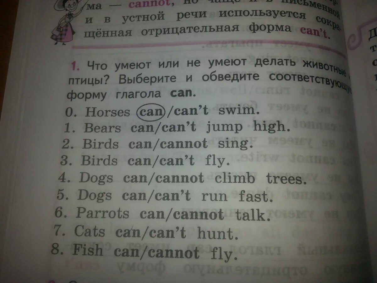 Что умеют делать животные. Английский язык напиши что умеют делать животные. Задания на отработку глагола can 2 класс. Глагол can упражнения. Напиши что умеют делать животные.