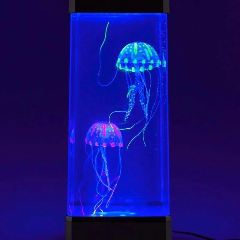 Медуза живая купить. Аквариум с медузами Orbit 20. Аквариум с медузами. Домашняя медуза. Домашний аквариум с медузами.