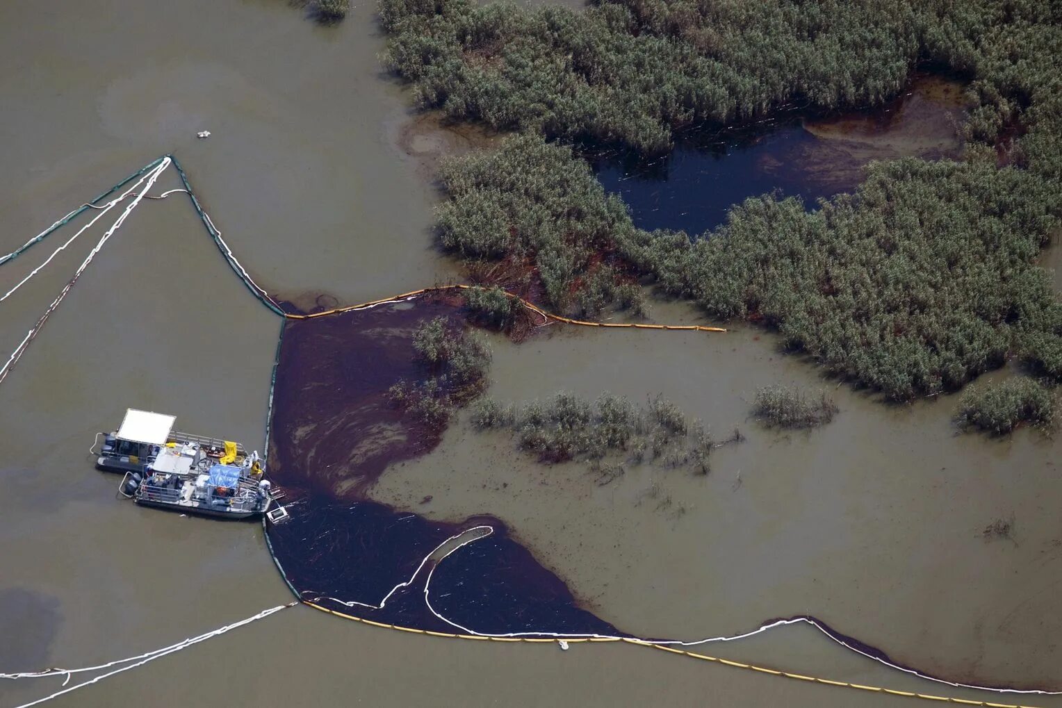 Природные разливы нефти. Миссисипи и мексиканский залив. Разлив нефти в мексиканском заливе. Луизиана мексиканский залив. Разлив нефти в мексиканском заливе последствия.
