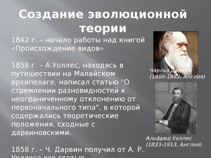 Теория истории жизни
