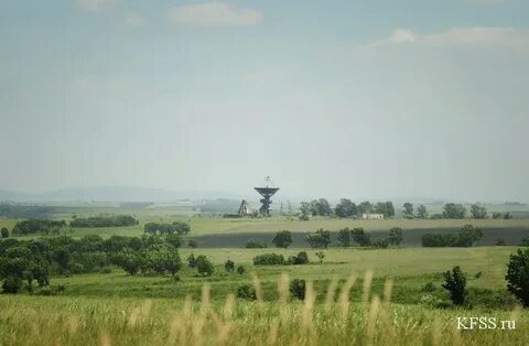 Галенки октябрьский приморский край