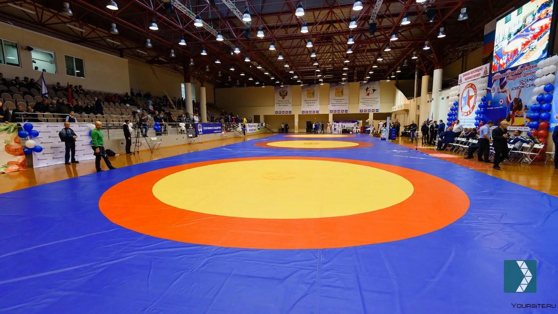 Дворец единоборств брянск. Павла морозова 138 дворец единоборств. Дворец единоборств брянск секции. Дворец единоборств. Де воейков пенза.