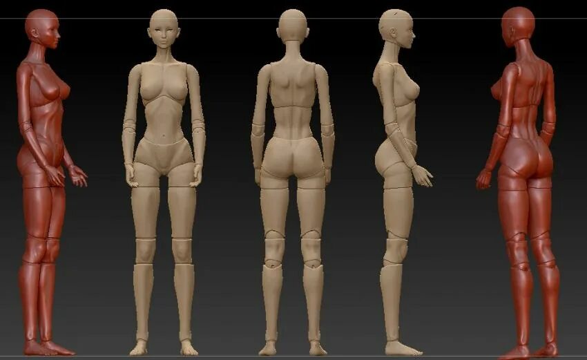 Куклы бжд референс. Бжд кукла геншин. Куклы 3d модели. 3d модель шарнирной куклы. Кукла для моделирования.