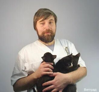 Ветград