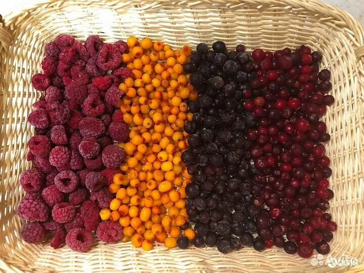 Ягода коричневого цвета. Лечебные ягоды. Виды ягод. Ягоды растущие в Сибири. Сибирские ягоды.