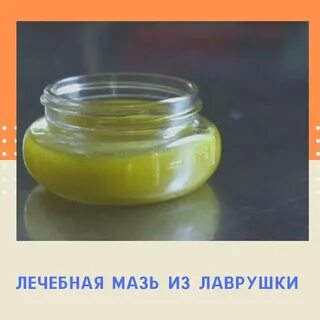 Мазь из лаврового листа