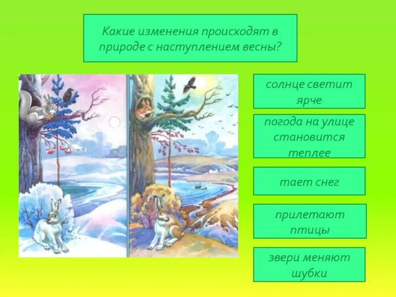 Изменения в природе зимой 5 класс биология. Сезонные изменения в природе. Сезонные изменения весной. Сезонныеиминия в природе.