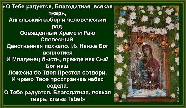 О тебе радуется молитва. О тебе радуется всякая тварь слушать. О тебе радуется благодатная всякая. Ноты о тебе радуется киевский распев ноты. О тебе радуется всякая тварь слушать.