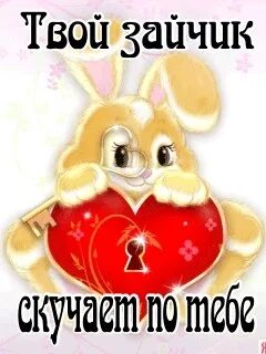 Я твой зайчик
