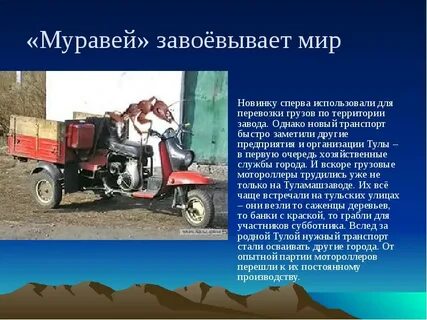 Муравей сколько лошадей