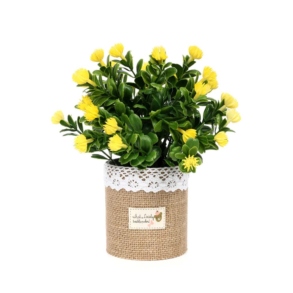 8 в горшочке. примула в кашпо. кальцеолярия цветок. горшочки для суккулентов. крокус микс 9см.