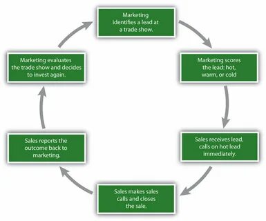 Marketing decision