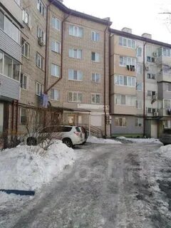 Береговой врангель