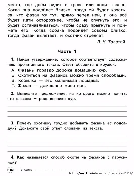 Комплексная работа 4 класс пингвины с ответами. Комплексная работа про фазанов с ответами. комплексная работа 4 класс с ответами фазаны. комплексная работа 1 класс 1 вариант. комплексные работы иду в 4 класс ответы.