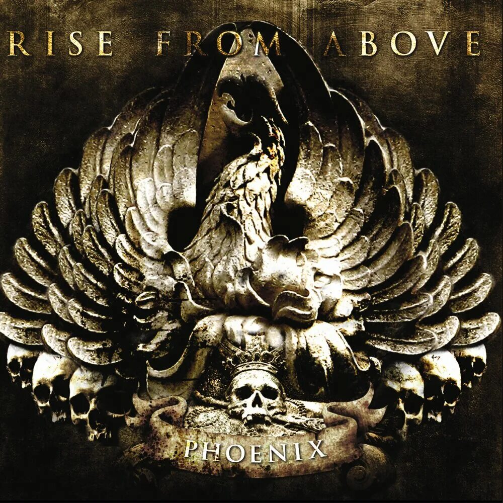 Rise from the bottom. 1998 - Phoenix Rising. Rise above. Rise_from_above-Phoenix. Rise by.