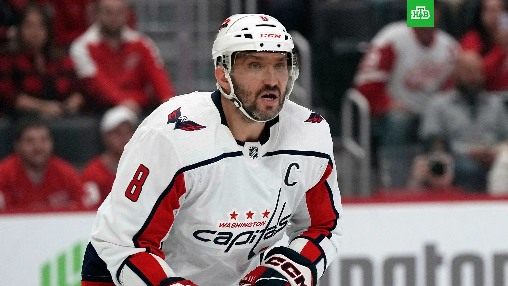 Уэйн гретцки кубок стэнли. Овечкин нхл. Бостон нхл. Nhl records. Вегас голден найтс.