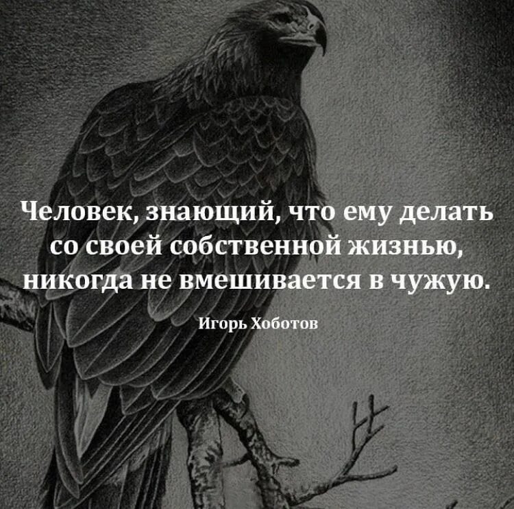 Жизнь не если в ней нет. Цитаты про чужую жизнь. мудрые цитаты. про людей которые лезут в чужую жизнь афоризмы. не лезьте в чужую жизнь цитаты.
