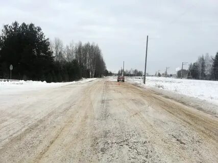 Белей томская обл