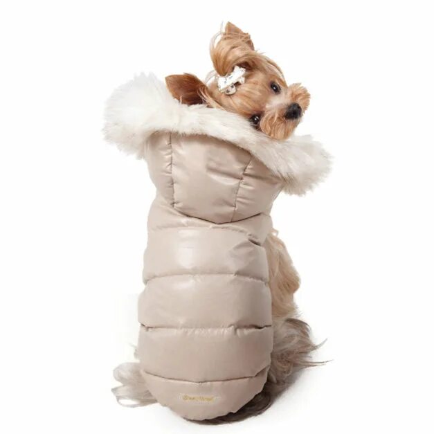 Паппи Энджел одежда для собак. Puppy Angel одежда для собак. Куртка Puppy Angel SM. Puppy Angel спортивный комбинезон теплый XL. Пуховик гусиный пух