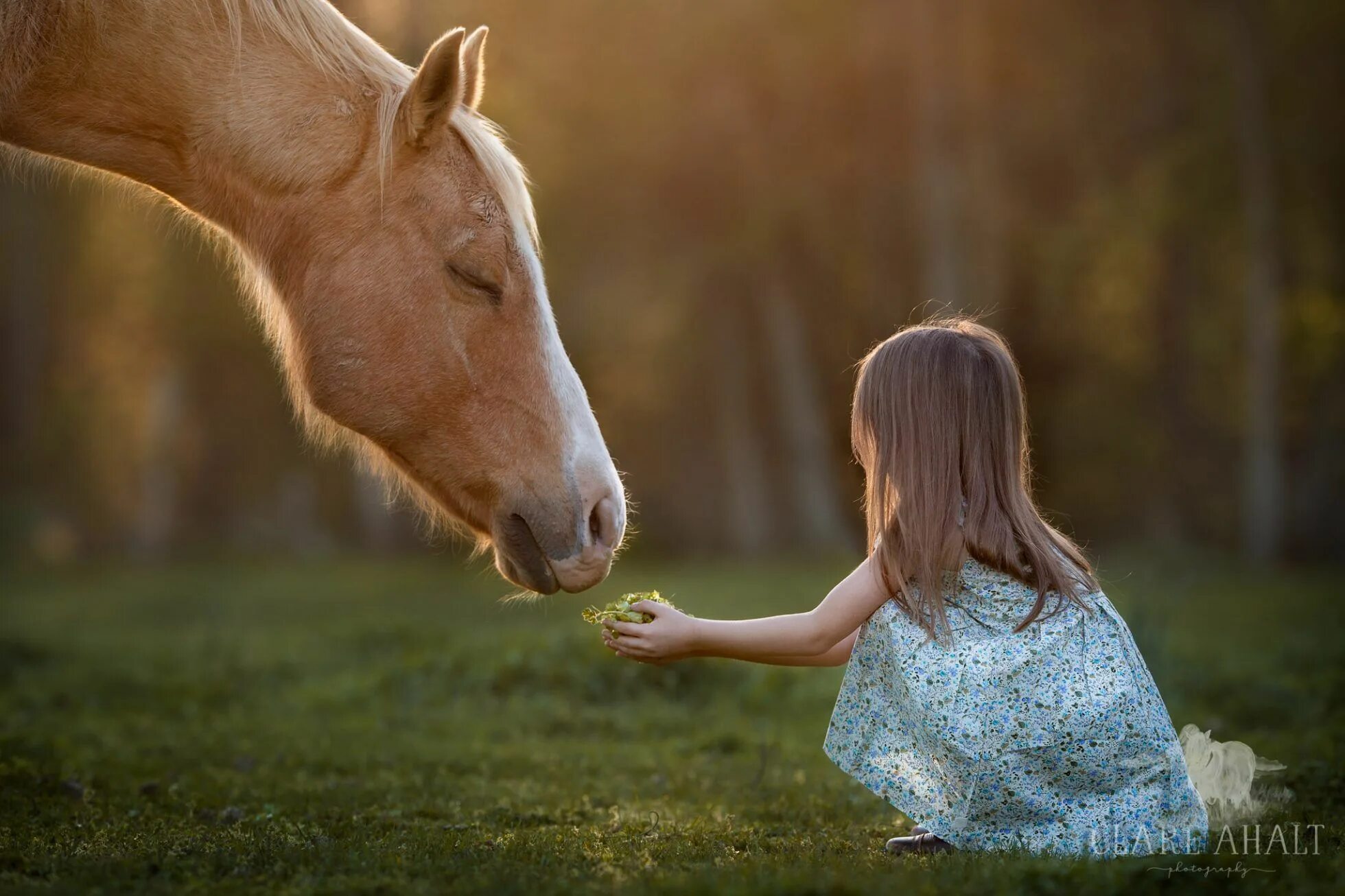 Horse kids. Лошадь для детей. Девушка с лошадью. Девочка на лошади. Маленькие дети на лошади.