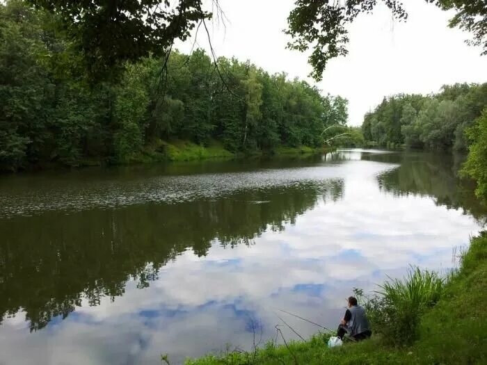 Герценский парк бирюлево восточное. Герценский парк бирюлево восточное. Герценовский парк загорье. Памятники дорогожичи киев. Парк герцена.