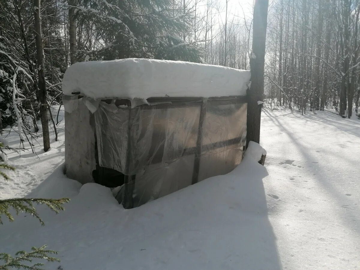 Отшельники геншин. В лесу под тихвином нашли отшельницу. В лесу под тихвином нашли отшельницу. Агафья лыкова. Отшельница в лесу.