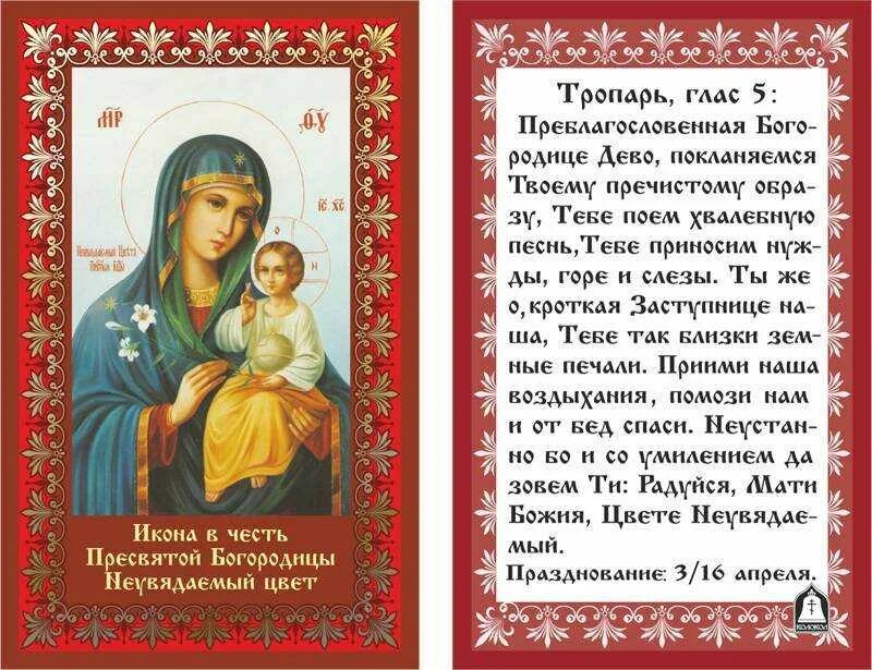 Молитва пресвятой богородице дево радуйся 150. Молитвыпресв-той богородице. Молитва ко пресвятой богородице царице моя преблагая. Молитва пресвятой богородице. Молитва пресвятой богородице дево радуйся.