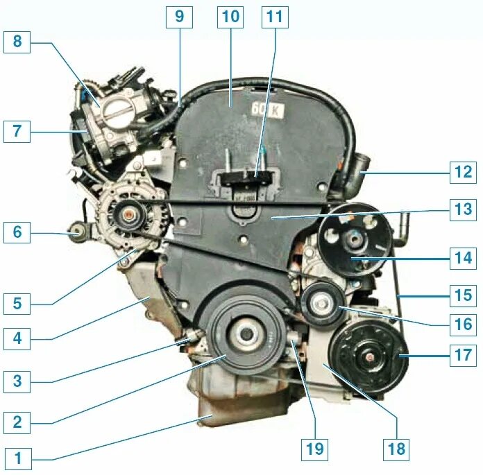 Сколько ремней в двигателе. Ремень генератора Chevrolet Lacetti 1.6. Двигатель Лачетти 1.4 датчики. Двигатель Лачетти 1.6 схема. Двигатель Шевроле Лачетти 1.4.