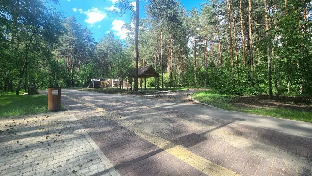 Заельцовский парк новосибирск фото Территория заельцовского парка