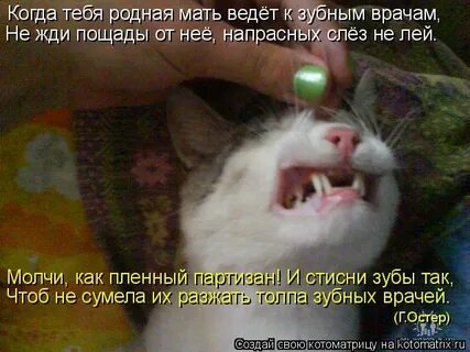Напрасно слезы льешь