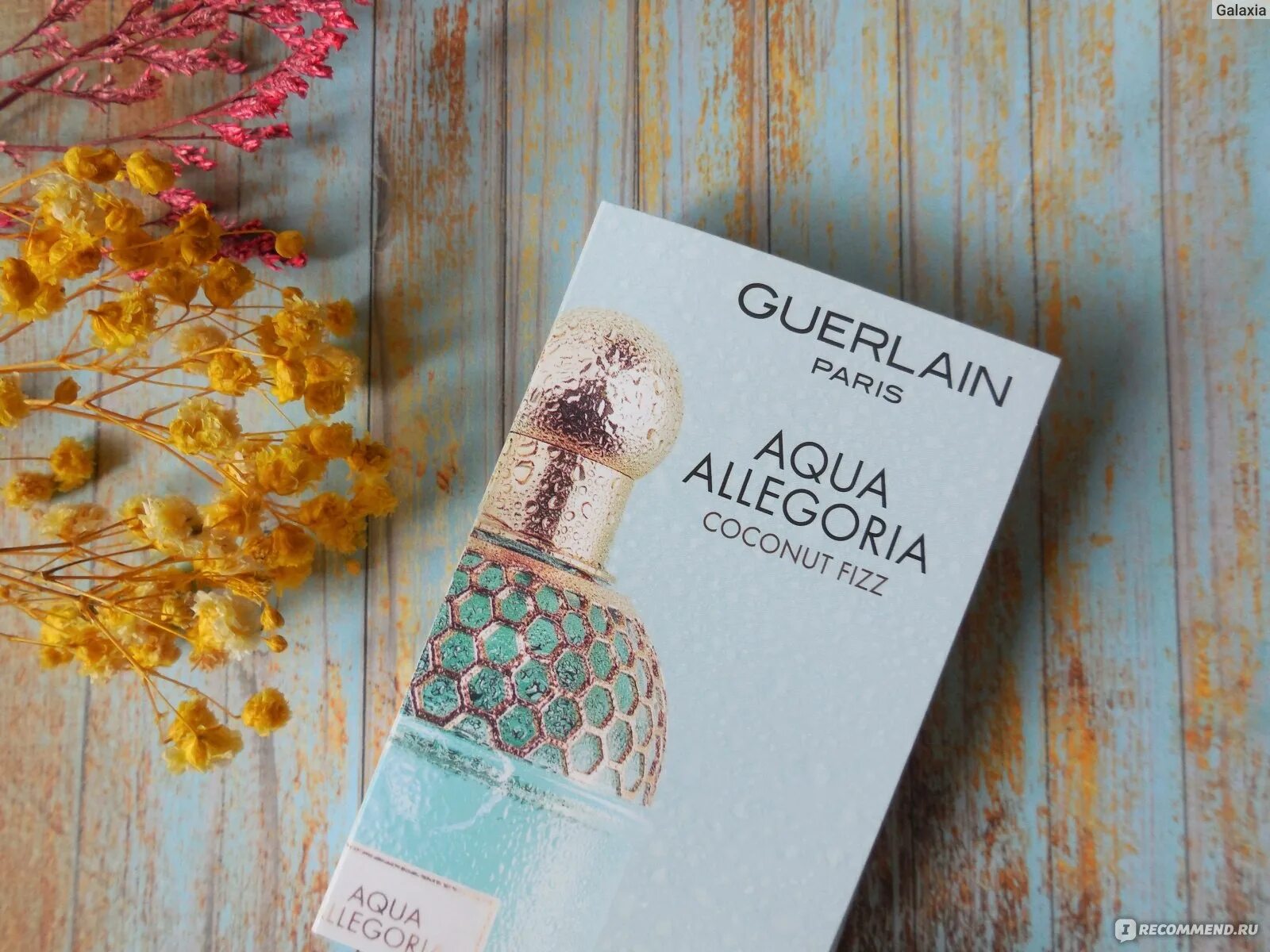 Aqua allegoria coconut fizz