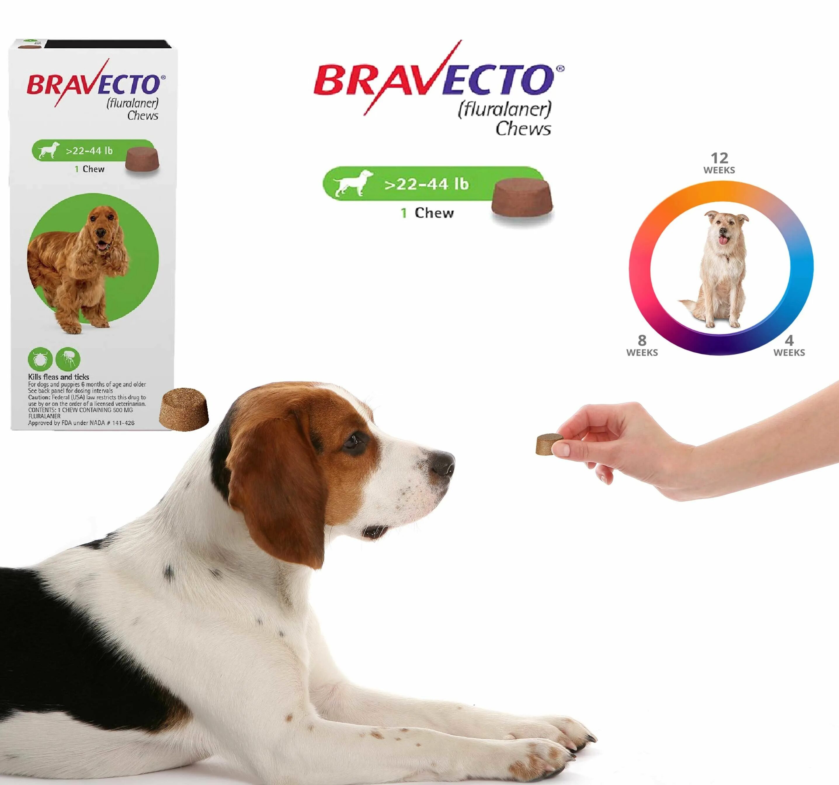 Четыре лапы бравекто. Бравекто 500 мг. Bravecto for Dogs. Bravecto в Германии. Бравекто для собак таблетки.