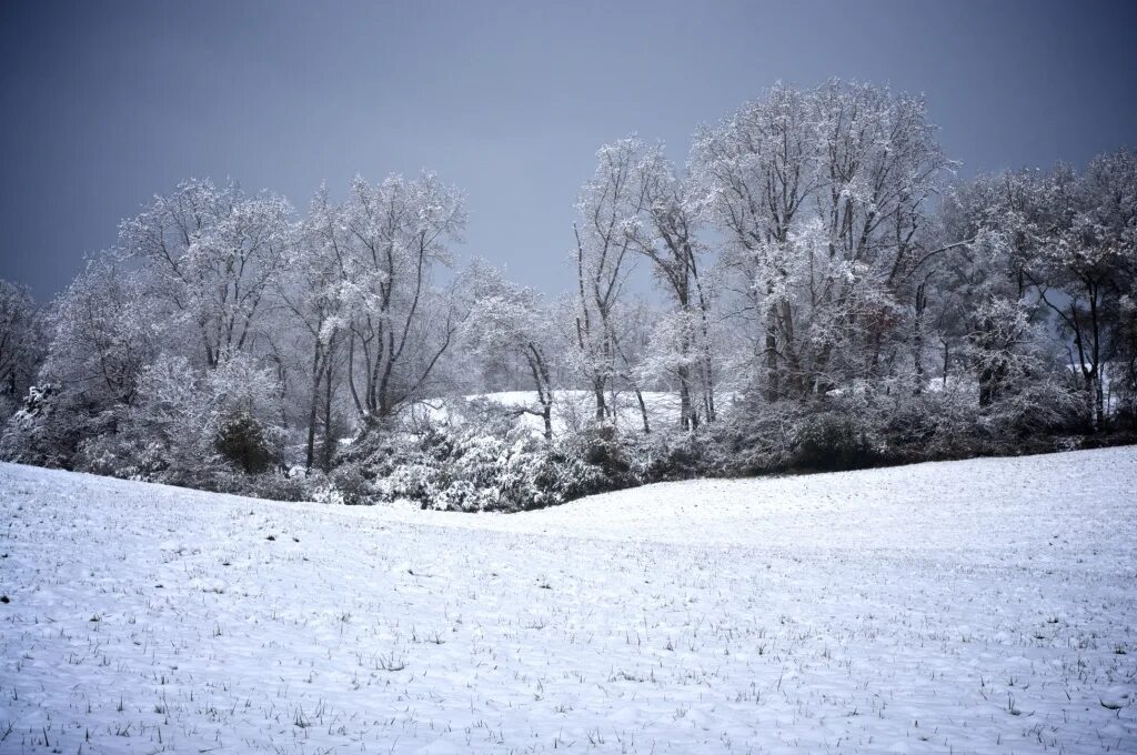 Снег 5 декабря. Зима 600x600. Зима метель панорама высокого качества. Snowfield. Winter 600mm-24 зима.