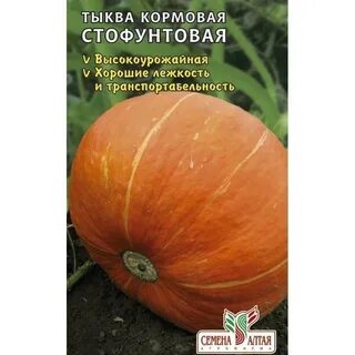 Тыква корм