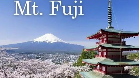 Жапон бөксесі фотосуреттері